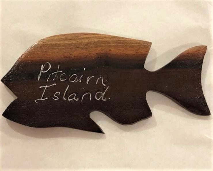 Fish Fridge Magnets - from either Tau, Miro or Burau wood
