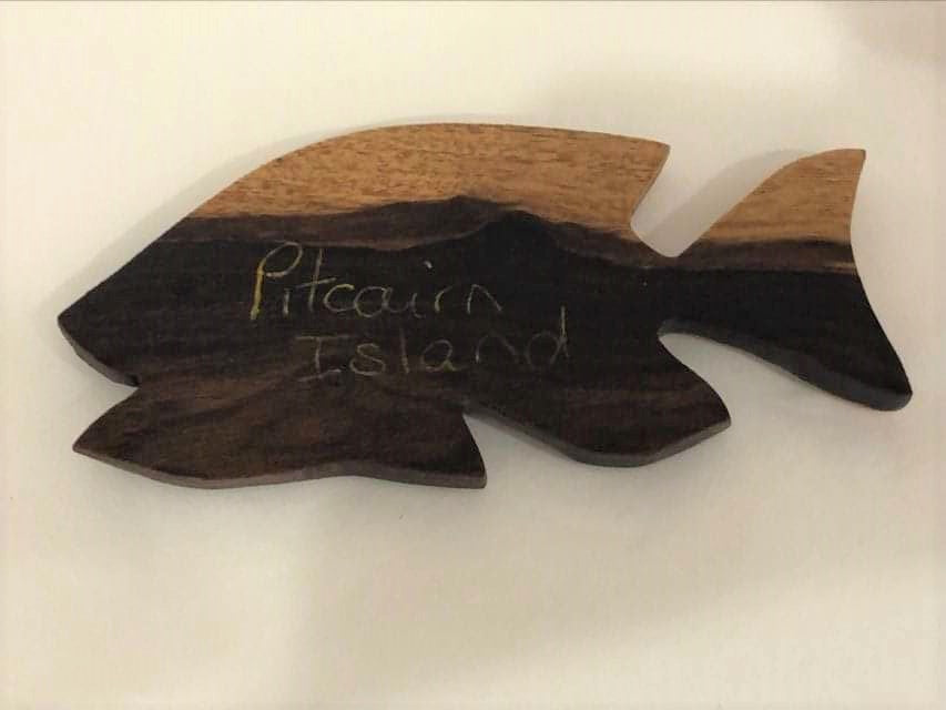 Fish Fridge Magnets - from either Tau, Miro or Burau wood