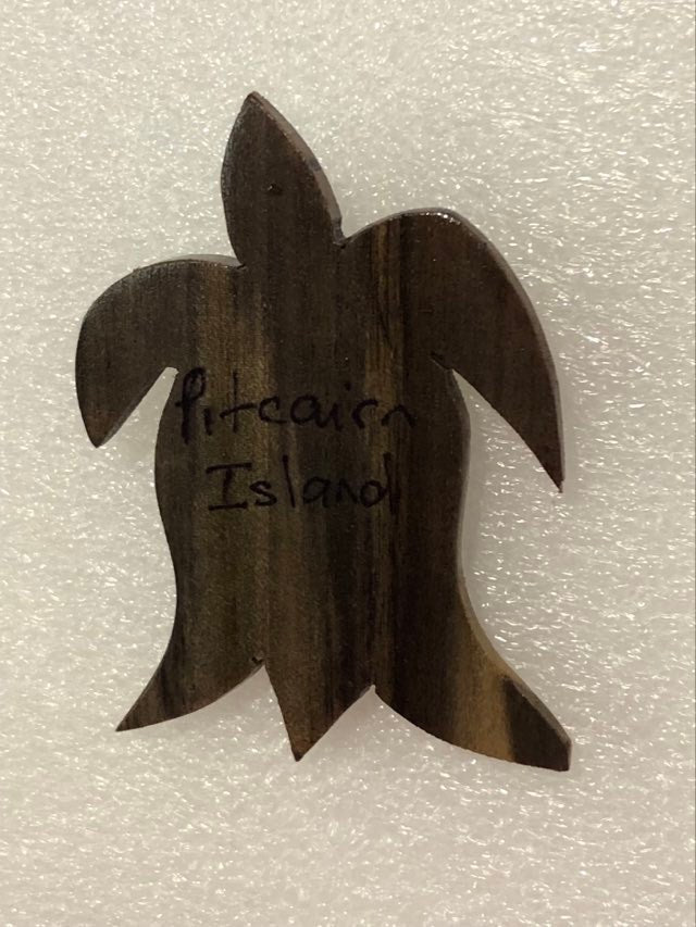 Turtle Fridge Magnet from Local Miro or Burau wood