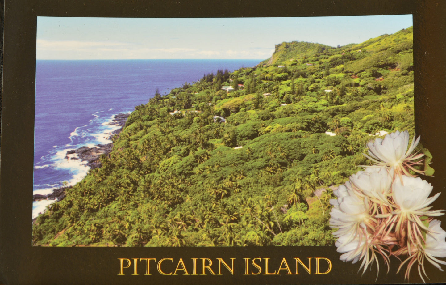 Postcard