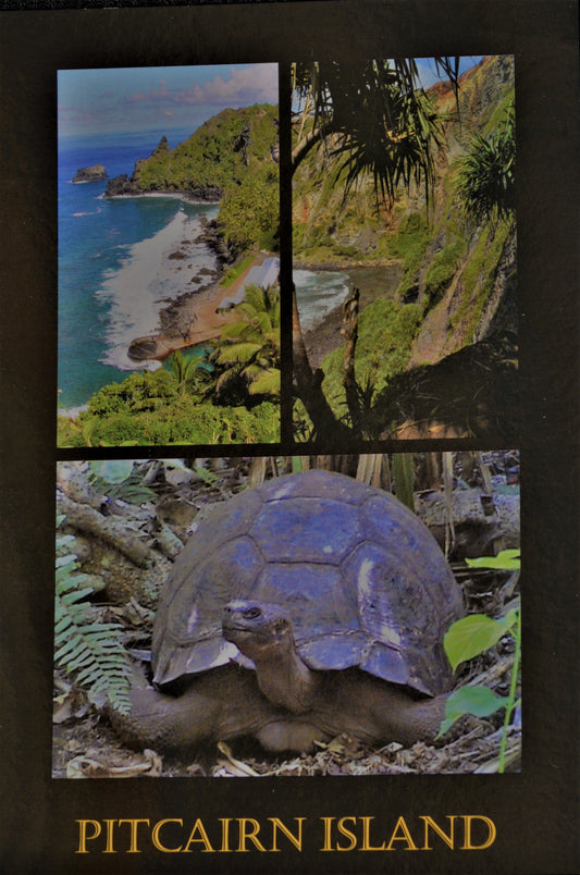 Pitcairn Island Postcard - Ms T. and Scenic Vistas un-stamped