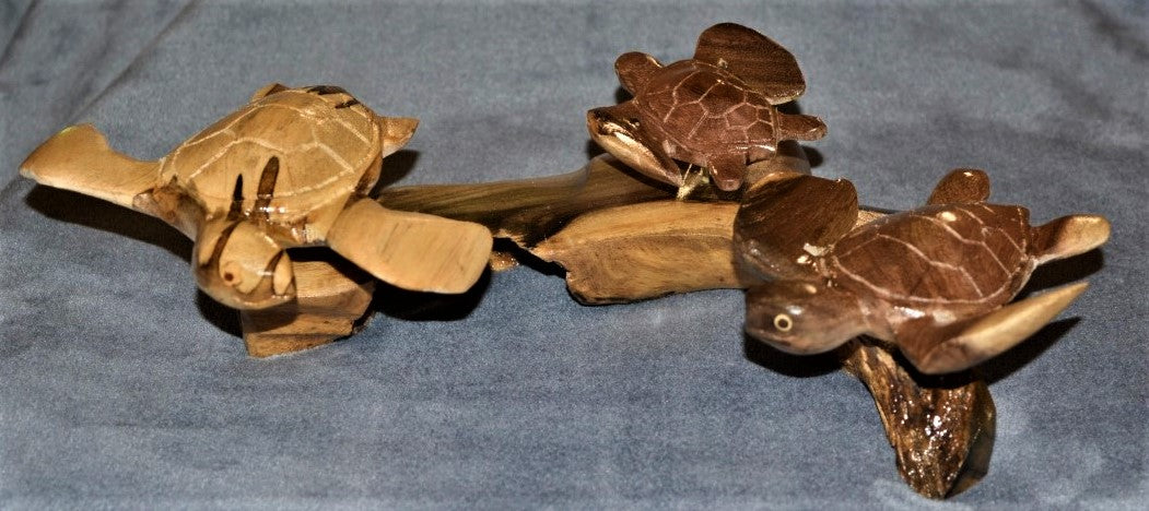 3 Turtles at Play from Local Miro
