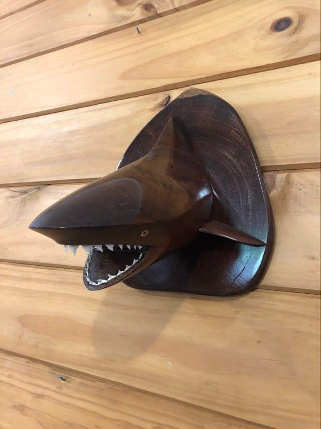 Hand Carved Shark's Head Wall Hanging in Local Miro Wood