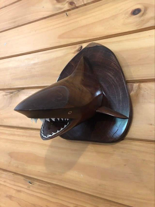Hand Carved Shark's Head Wall Hanging in Local Miro Wood