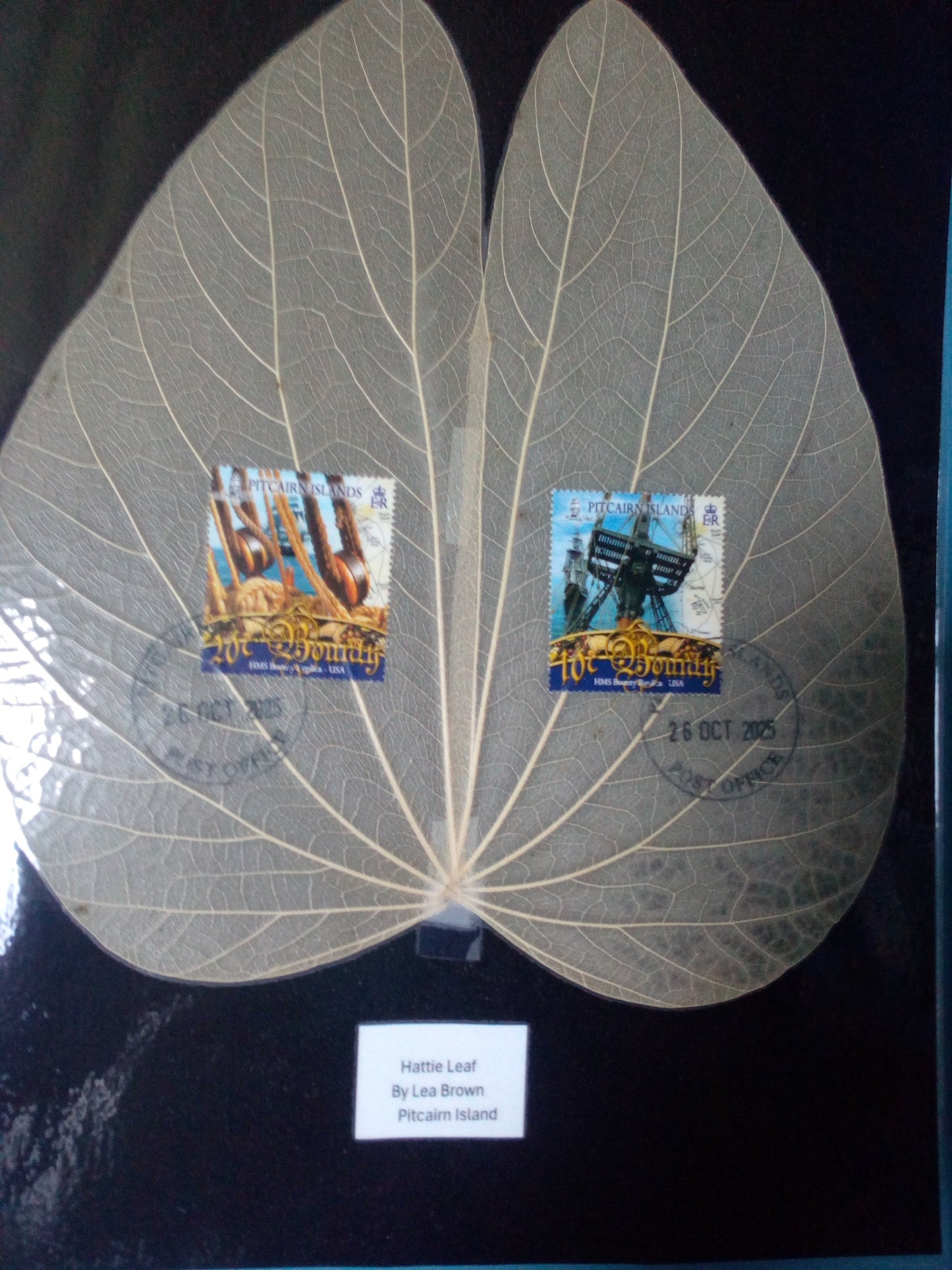 Hattie Leaf - laminated card stock