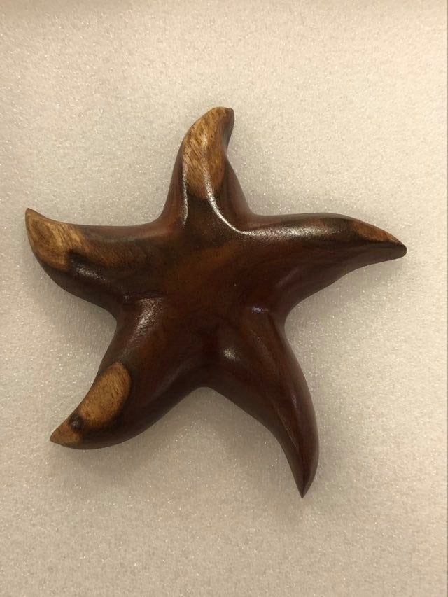 Handmade Starfish Fridge Magnet in local Miro wood - Large