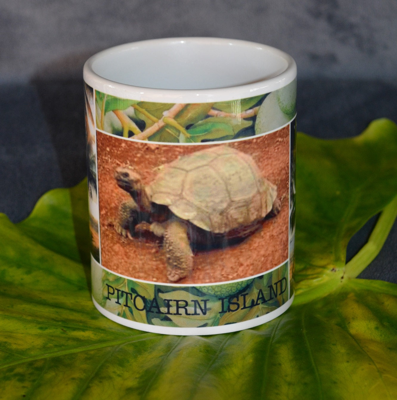 Pitcairn Island Coffee Mug - Ms T