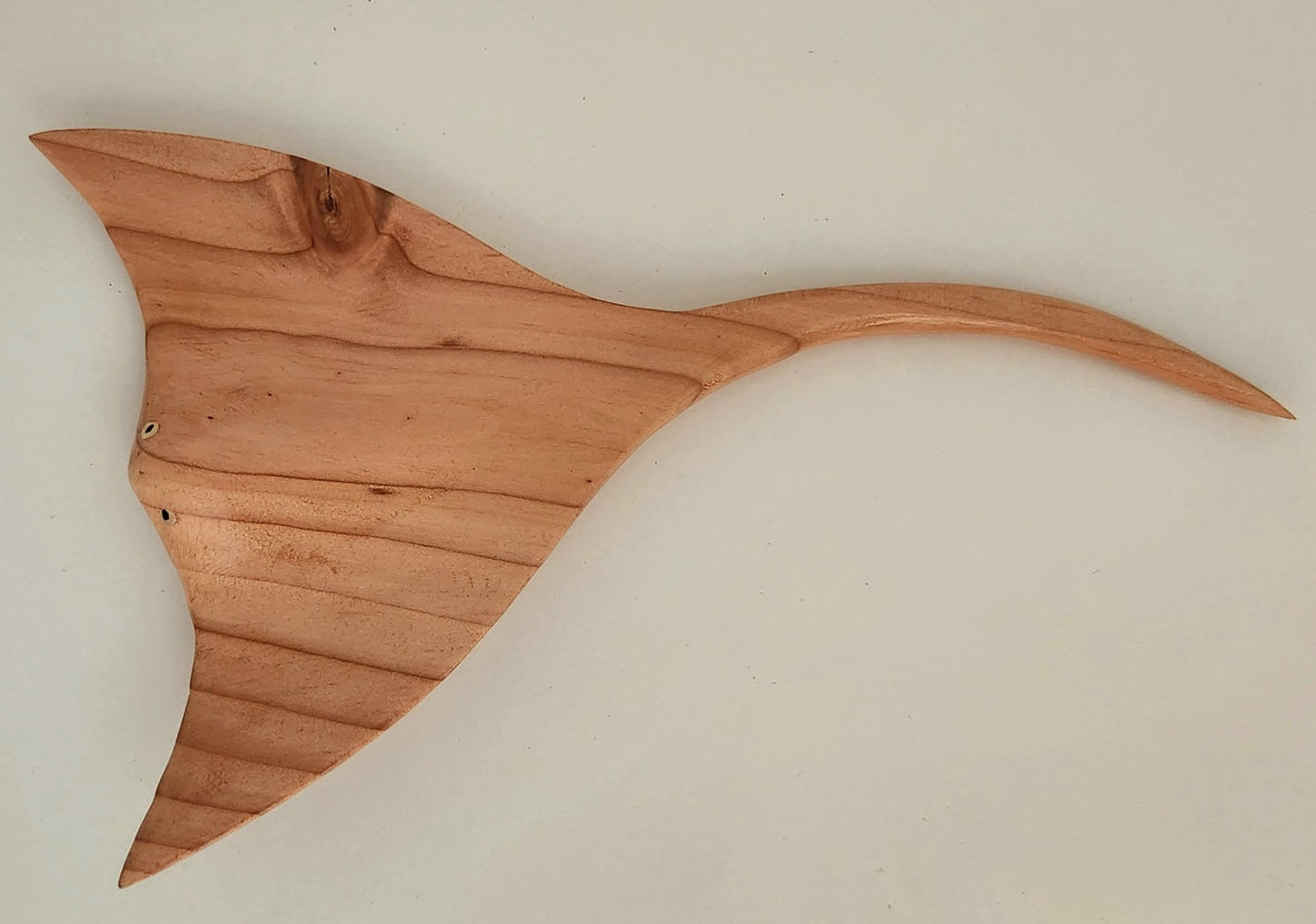Hand Carved Stingray Wall Hanging from local Pine wood - Small
