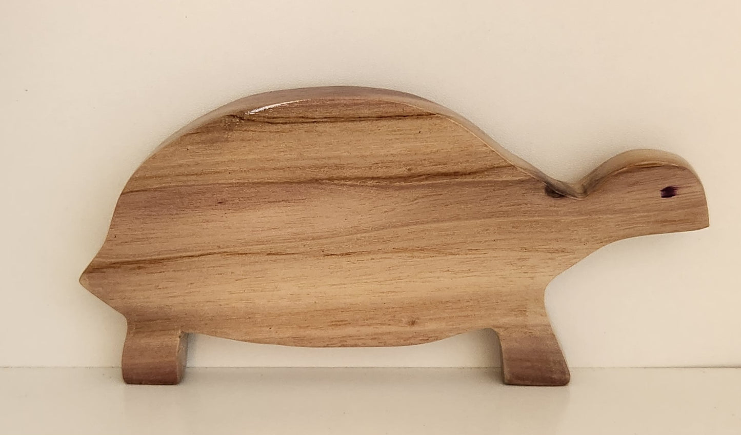 Hand Carved Ms T Galapagos Tortoise Wall Hanging - from Local Burau or Miro wood