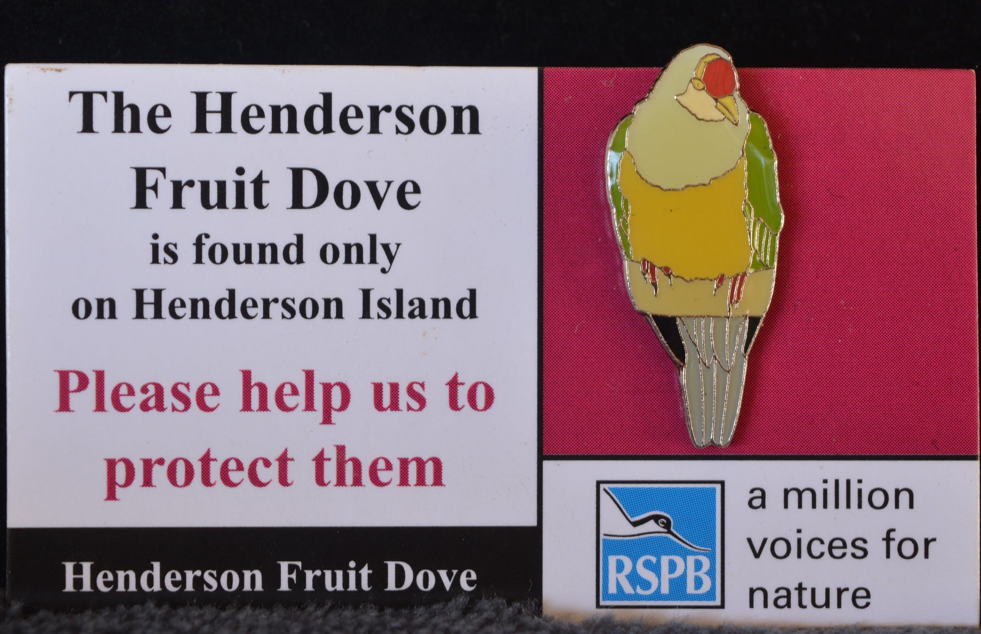 Lapel pin featuring Henderson Island Bird
