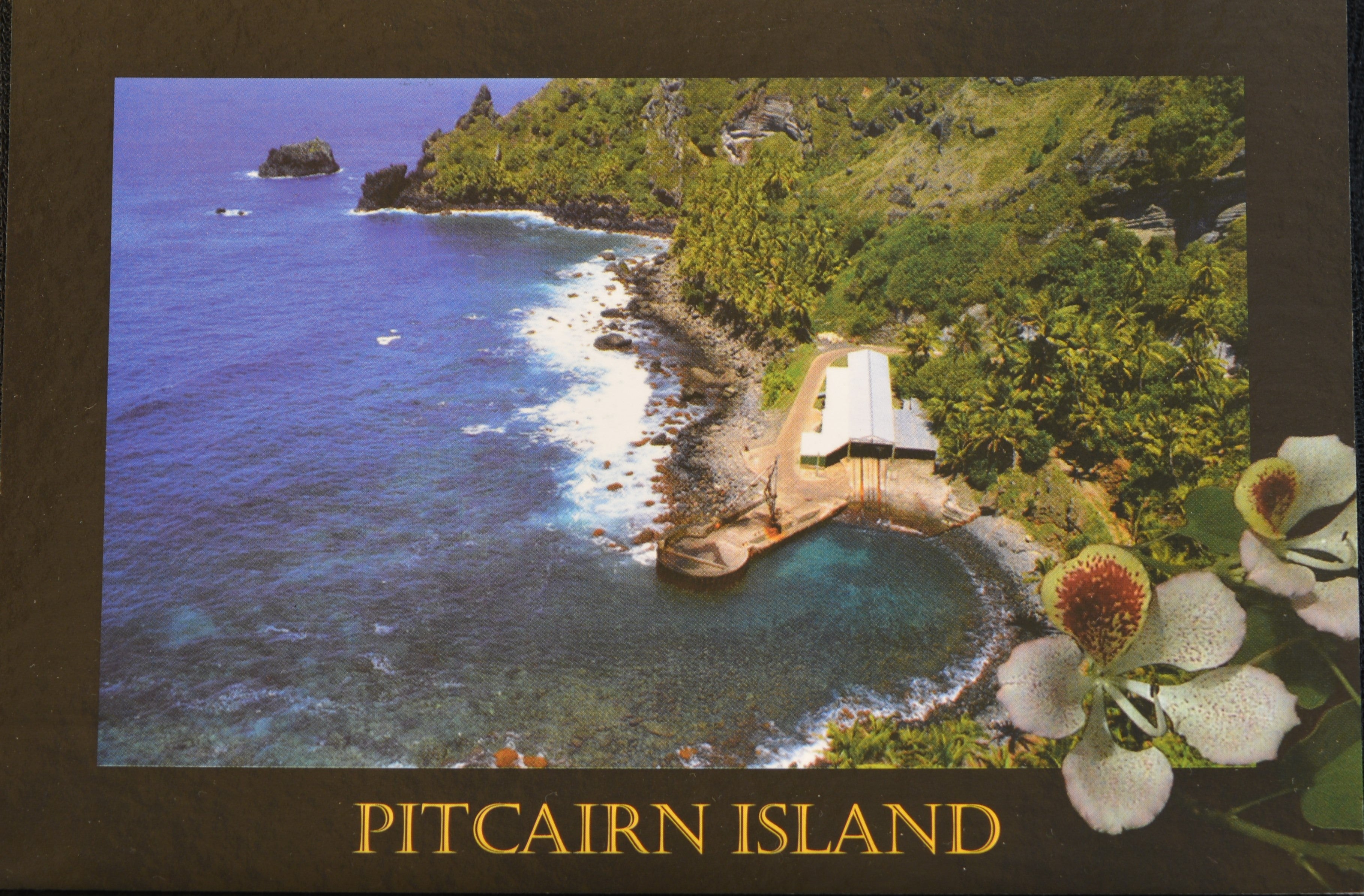 Carte postale de l'île Pitcairn - Bounty Bay et fleur de Hattie estampillée