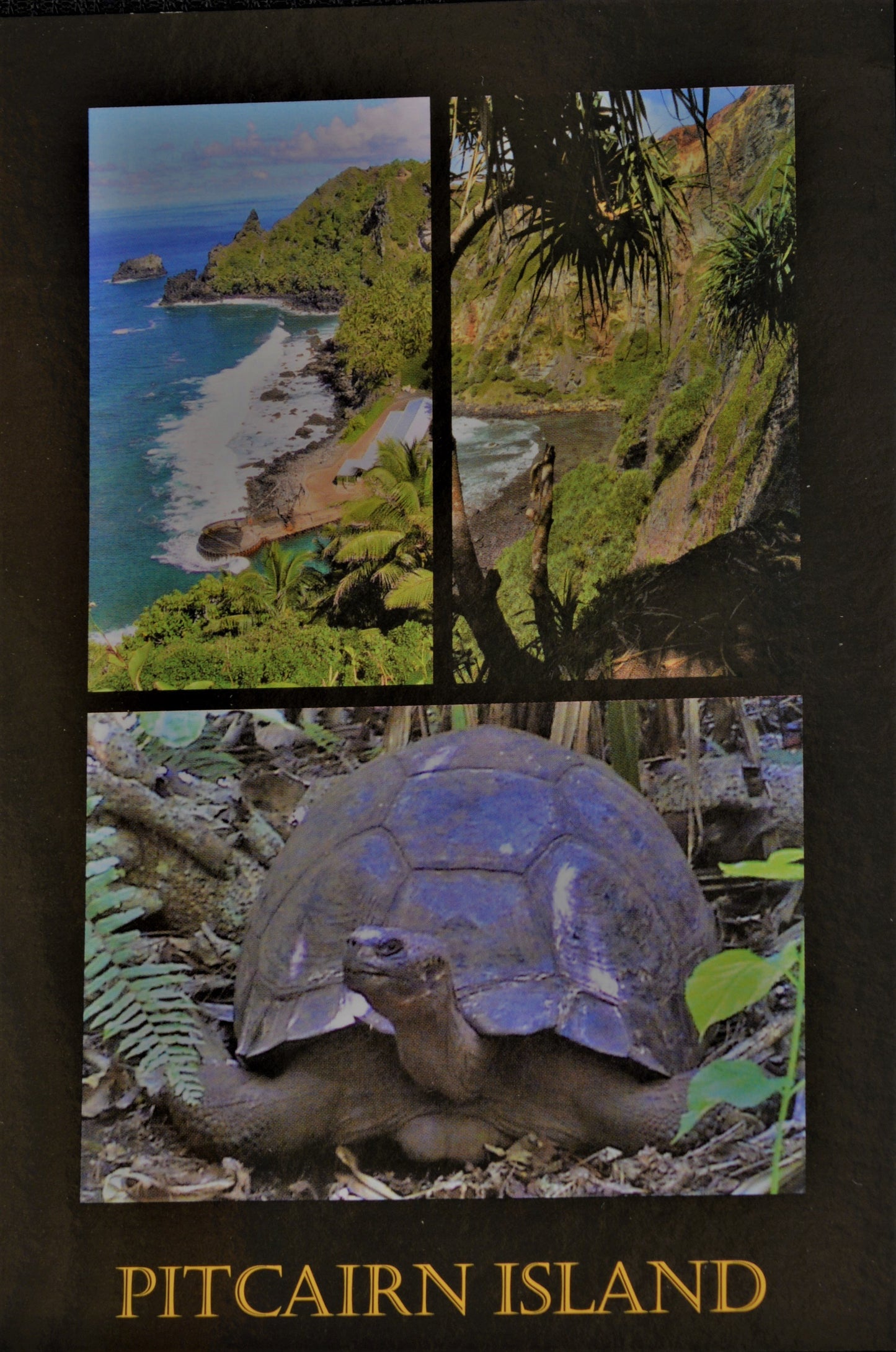 Carte postale de l'île de Pitcairn - Mme T et des vues panoramiques estampillées