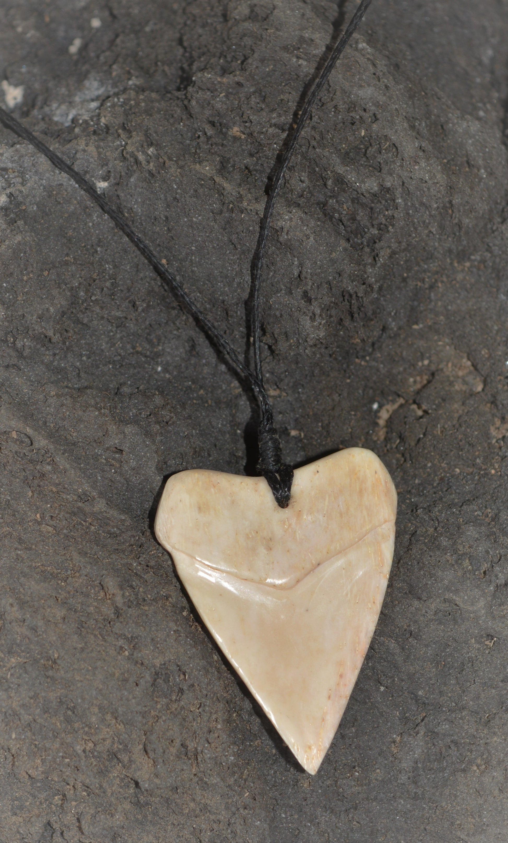 Hand carved bone shark tooth necklace