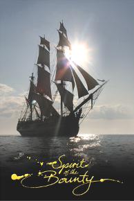 Spirit of the Bounty Postcard - HMAV Bounty Under Full Sail Sun Kissed