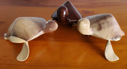 Handgeschnitzte Schildkröte aus lokalem Miro oder Burau Holz - mittelgroß