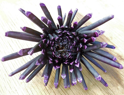 Handmade Coral form Purple Sea Urchin Bead Earrings